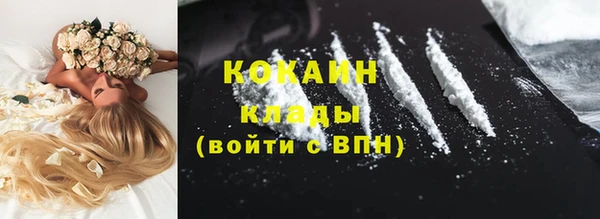 PSILOCYBIN Покачи