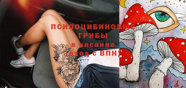 стафф Покровск
