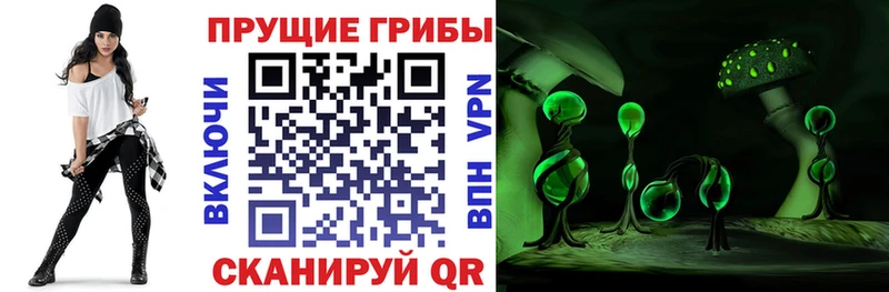 продажа наркотиков  Торопец  Галлюциногенные грибы прущие грибы 